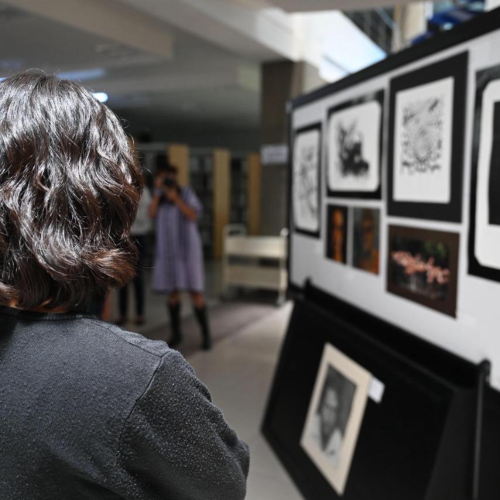 Inaugura Gobierno de Zacatecas muestra de arte en la UAZ