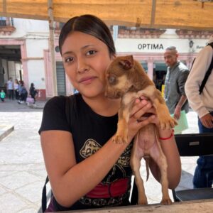 Mantienen jornadas permanentes de adopción y esterilización de mascotas en la Capital